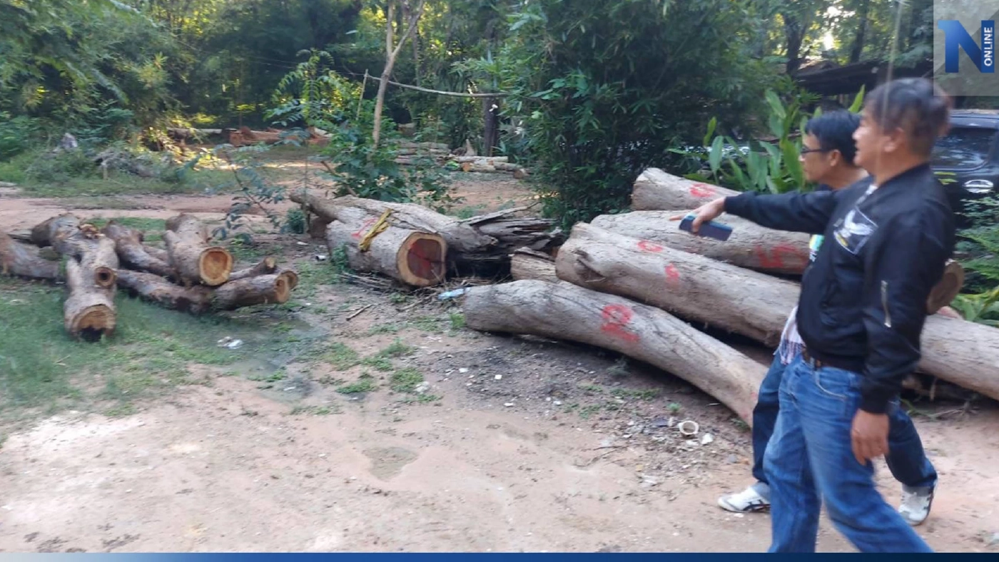 ปปช.ฟันธงเจ้าหน้าที่รัฐจับมือนายทุนจีนตัดไม้พะยูง