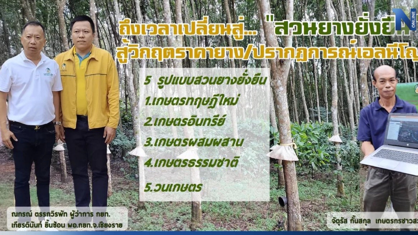 กยท. ผลักดันชาวสวนยาง ทำ "สวนยางยั่งยืน" สู้วิกฤตราคายาง - ปรากฏการณ์เอลนีโญ