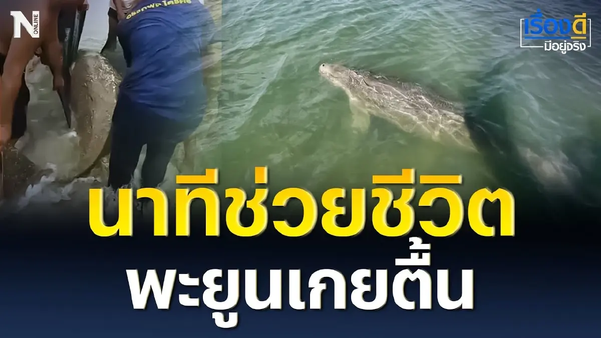 เปิดนาทีช่วยชีวิต พะยูนเกยตื้น หรือ “ไอ้ลาย” เปิดนาทีช่วยชีวิต พะยูนเกยตื้น หรือ “ไอ้ลาย”