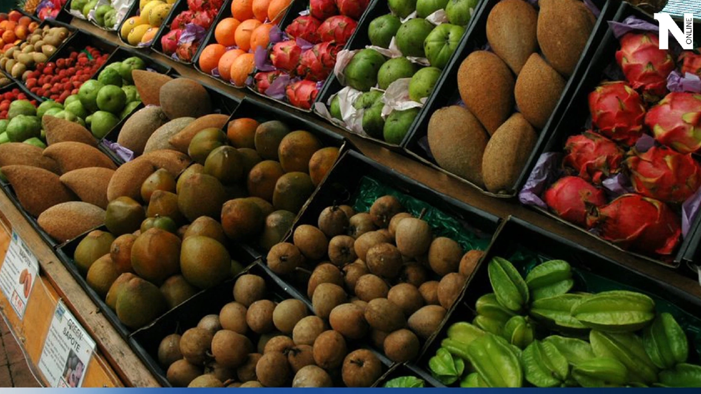 ผลพวงโลกร้อนขึ้น อิตาลีหันมาปลูกมะม่วง กล้วย อะโวคาโด แทนพืชเมืองหนาว