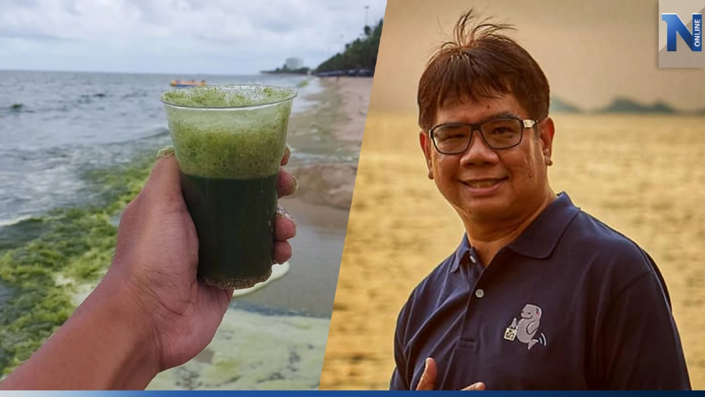 ดร.ธรณ์ ไขข้อสงสัย"แพลงก์ตอนบลูม"บางแสน เมื่อไหร่ทะเลจะหายเขียว ดร.ธรณ์ ไขข้อสงสัย"แพลงก์ตอนบลูม"บางแสน เมื่อไหร่ทะเลจะหายเขียว