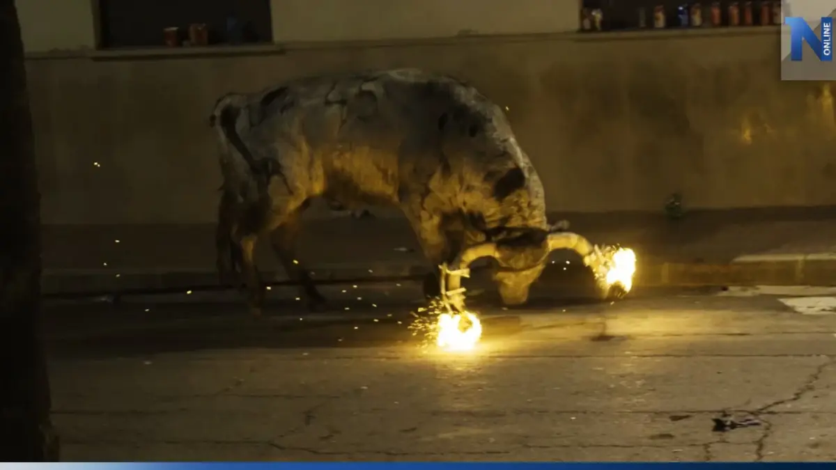 PETA ร้องแบนประเพณีเก่าสเปน "จุดไฟบนเขาวัว" PETA ร้องแบนประเพณีเก่าสเปน "จุดไฟบนเขาวัว"