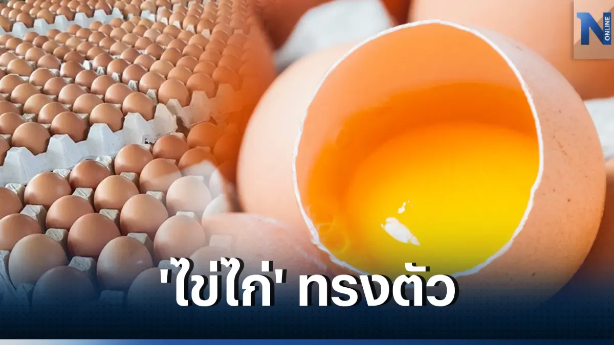 ก.พาณิชย์ยันราคา 'ไข่ไก่' ทรงตัว-ไม่ขาดแคลน
