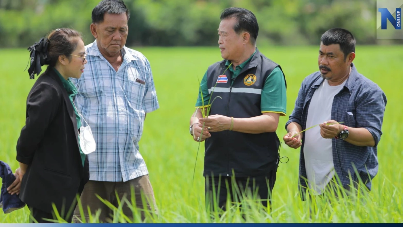"กรมการข้าว" เดินหน้าส่งเสริมเปลี่ยนเมล็ดพันธุ์ข้าว สู่เกษตรกรทั่วประเทศ