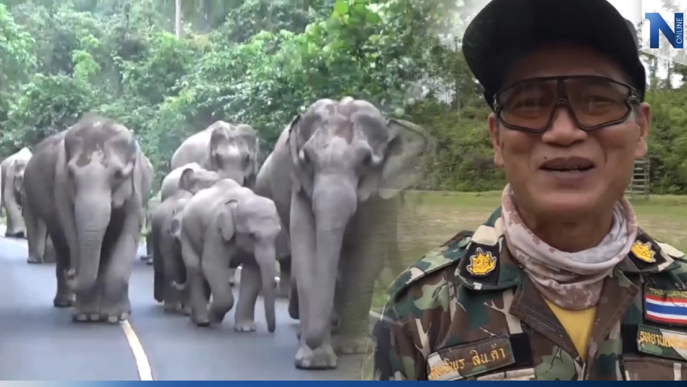 ใจหาย "สุทธิพร" มือปราบช้างป่าเขาใหญ่ เกษียณอายุราชการ