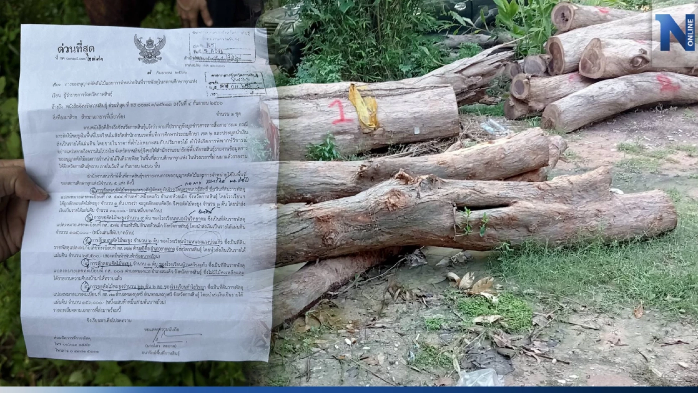 เจอหลักฐานสำคัญ รายชื่อพ่อค้ารับซื้อไม้พะยูง รร. เชื่อมนายทุนใหญ่ต่างชาติ