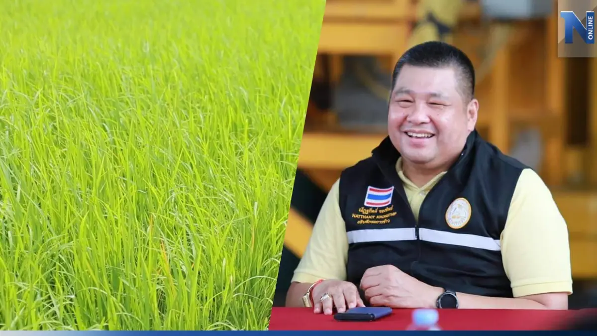 กรมการข้าว หนุนใช้เมล็ดพันธุ์ปี66 เพิ่มผลผลิต กรมการข้าว หนุนใช้เมล็ดพันธุ์ปี66 เพิ่มผลผลิต