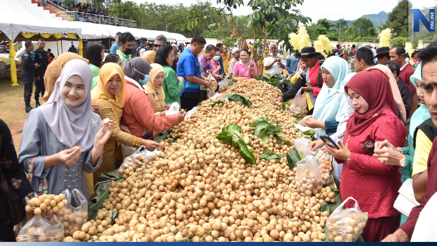 "ซีโปตันหยงมัส" ลองกอง 250 ปี ที่นราธิวาสขึ้นแท่นอายุมากสุดในโลก