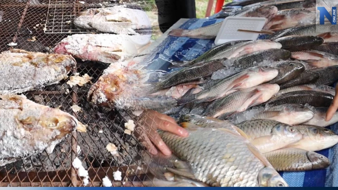 เริ่มแล้ว เทศกาลกินปลาลำตะคอง-คลองไผ่ คาดมีเงินหมุนเวียนไม่ต่ำกว่า 5 ล้านบาท เริ่มแล้ว เทศกาลกินปลาลำตะคอง-คลองไผ่ คาดมีเงินหมุนเวียนไม่ต่ำกว่า 5 ล้านบาท