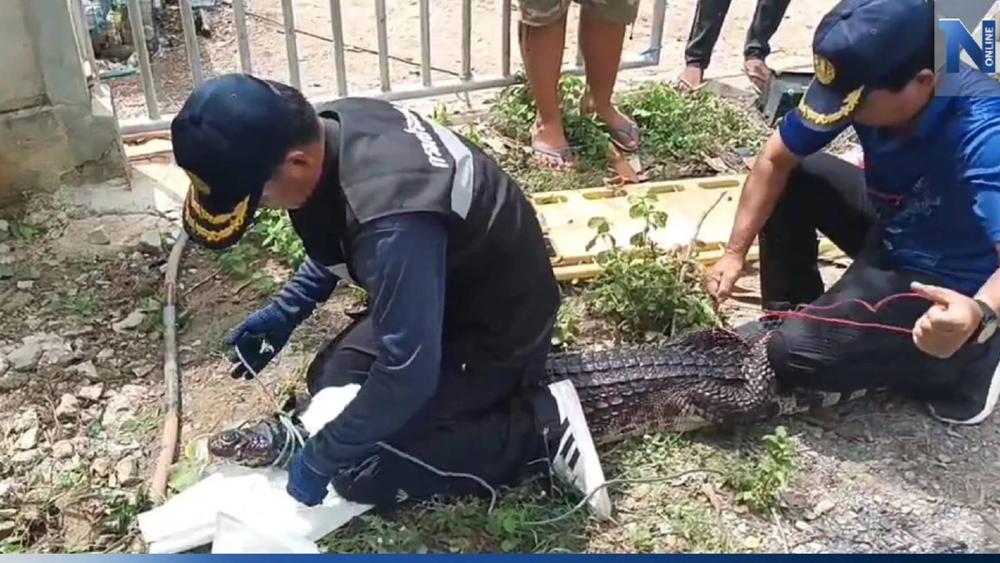 ปิดจ๊อบ ล่าไอ้เข้ จับได้ครบ 38 ตัว เจ้าของฟาร์มขอโทษสังคม พร้อมเลิกกิจการ