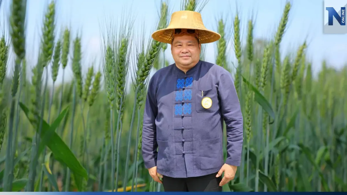 กรมการข้าว ชวนชาวนาเปลี่ยนใช้เมล็ดพันธุ์ยกระดับคุณภาพ-ราคา กรมการข้าว ชวนชาวนาเปลี่ยนใช้เมล็ดพันธุ์ยกระดับคุณภาพ-ราคา