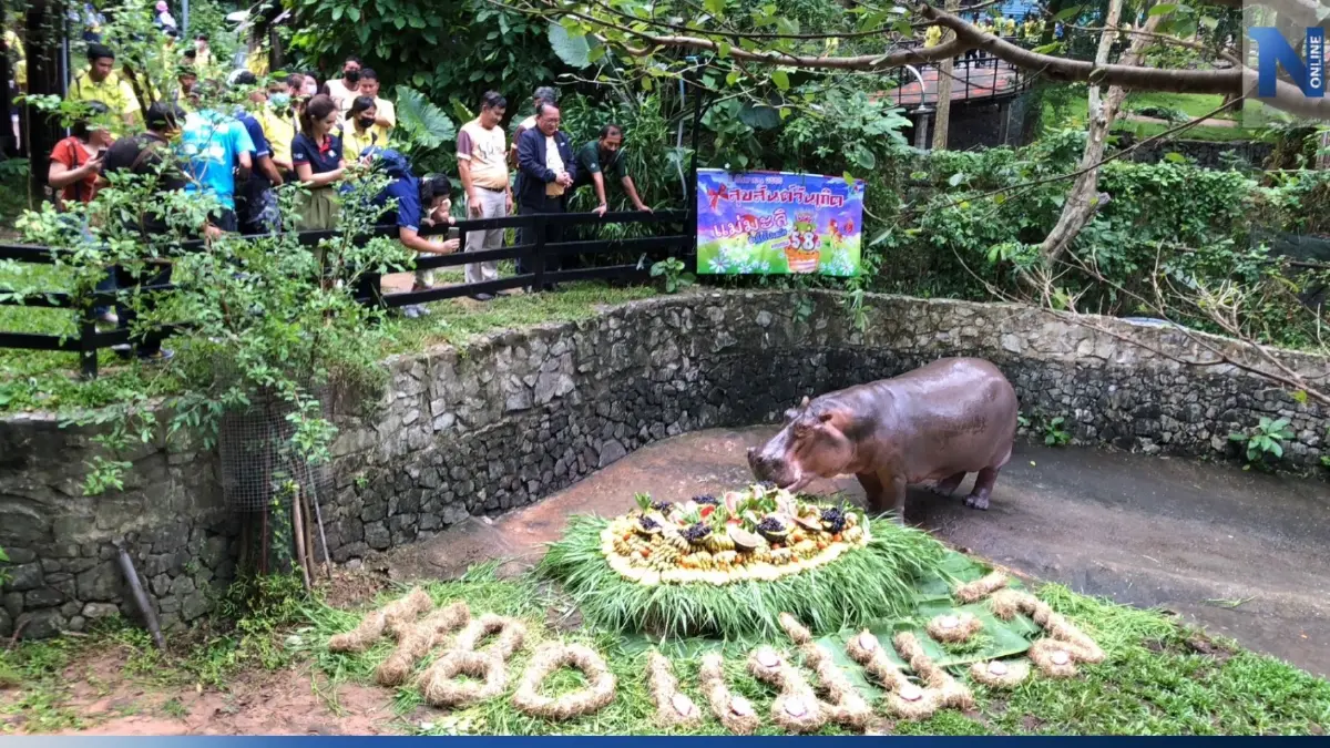 สวนสัตว์เปิดเขาเขียว จัดงานฉลองแม่มะลิ ครบ 58 ปี สวนสัตว์เปิดเขาเขียว จัดงานฉลองแม่มะลิ ครบ 58 ปี