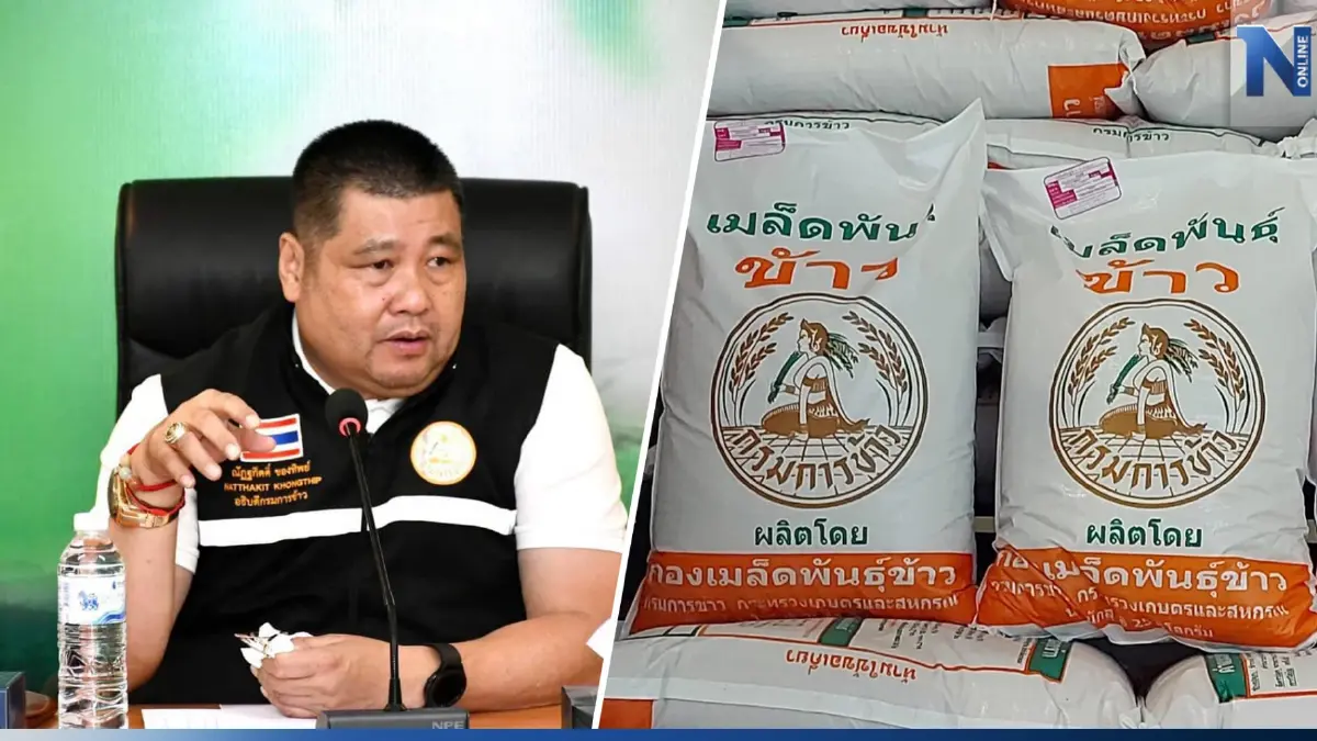 “กรมการข้าว” เดินหน้าเปลี่ยนเมล็ดพันธุ์ข้าวปีนี้ 58,700 ตัน “กรมการข้าว” เดินหน้าเปลี่ยนเมล็ดพันธุ์ข้าวปีนี้ 58,700 ตัน
