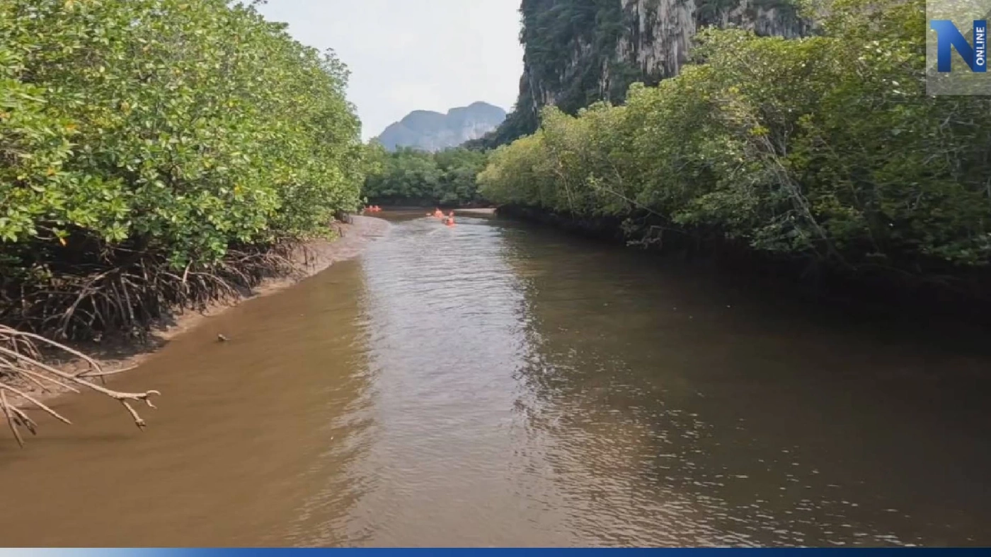 เที่ยวเชิงอนุรักษ์ "พายเรือคายัค" ชมป่าโกงกาง คิกออฟรับไฮซีซั่นตรัง