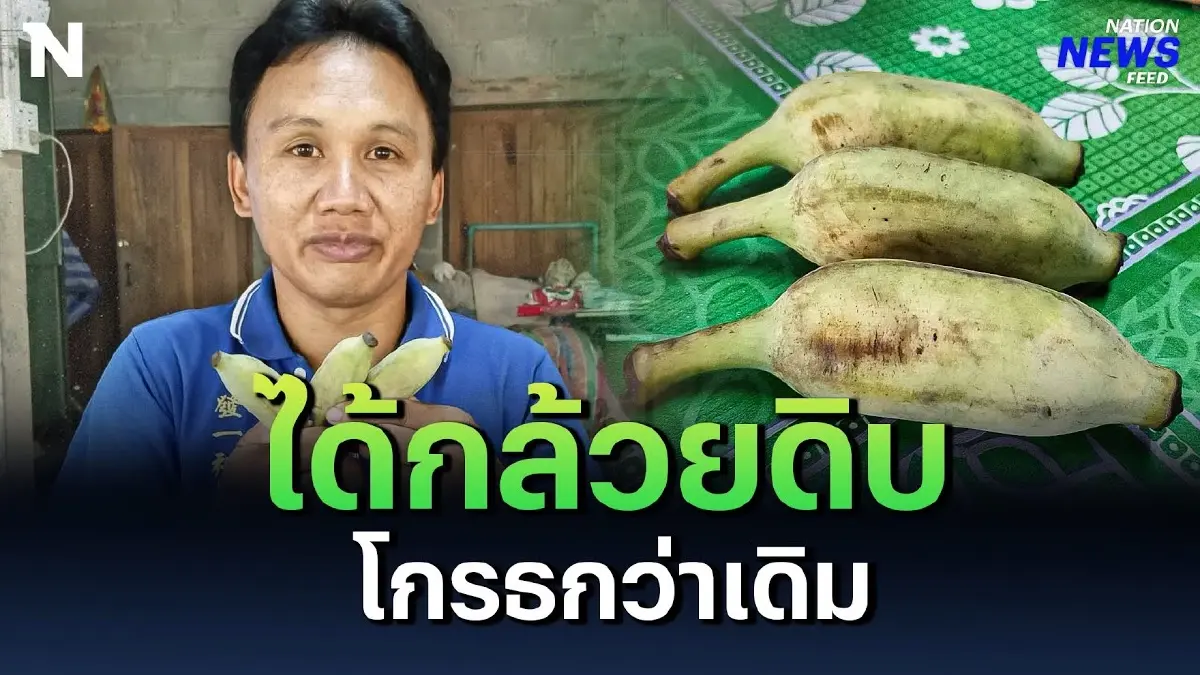 สั่งโทรศัพท์มือถือแต่โดนโกง แกะออกมาแล้วโมโหกว่าเดิม! สั่งโทรศัพท์มือถือแต่โดนโกง แกะออกมาแล้วโมโหกว่าเดิม!