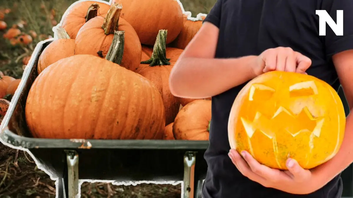 Food Waste ขยะฟักทองวันฮาโลวีน ผีร้ายตามหลอนหลังเทศกาล
