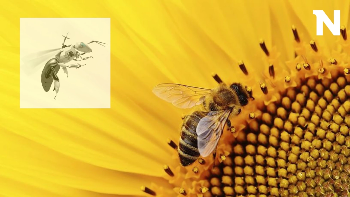 เปิดความเป็นไปได้ แนวคิดหุ่นยนต์ผสมเกสร เมื่อ"ผึ้ง" ถึงคราวใกล้สูญพันธุ์ 