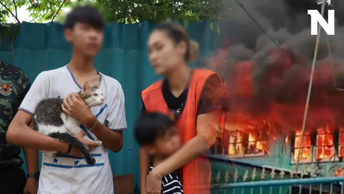 ไฟไหม้บ้านวอด! พี่ชายพาน้อง 5 ขวบ วิ่งหนี ร้องไห้กอดแมวแน่น จนท.ช่วยได้ 3 ตัว