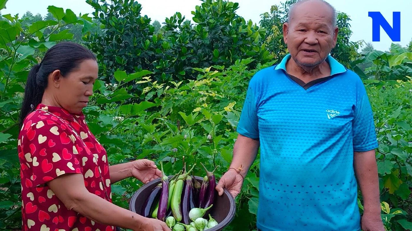 เกษตรกรวัยเกษียณ ปลูกผักหวังออกกำลังกาย สร้างรายได้เดือนละหมื่น เกษตรกรวัยเกษียณ ปลูกผักหวังออกกำลังกาย สร้างรายได้เดือนละหมื่น