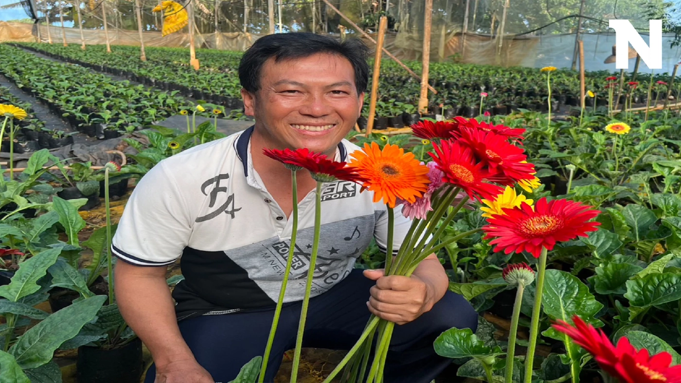 ปลูก“เยอบีร่า”ไม้ตัดดอกสร้างรายได้งาม