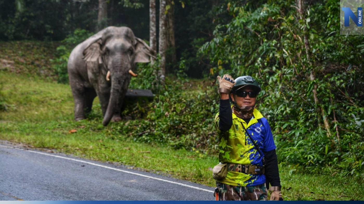 ข่าวดี! อช.เขาใหญ่ จ้าง "พี่สุทธิพร" มือปราบช้างป่า ทำงานต่อหลังเกษียณ