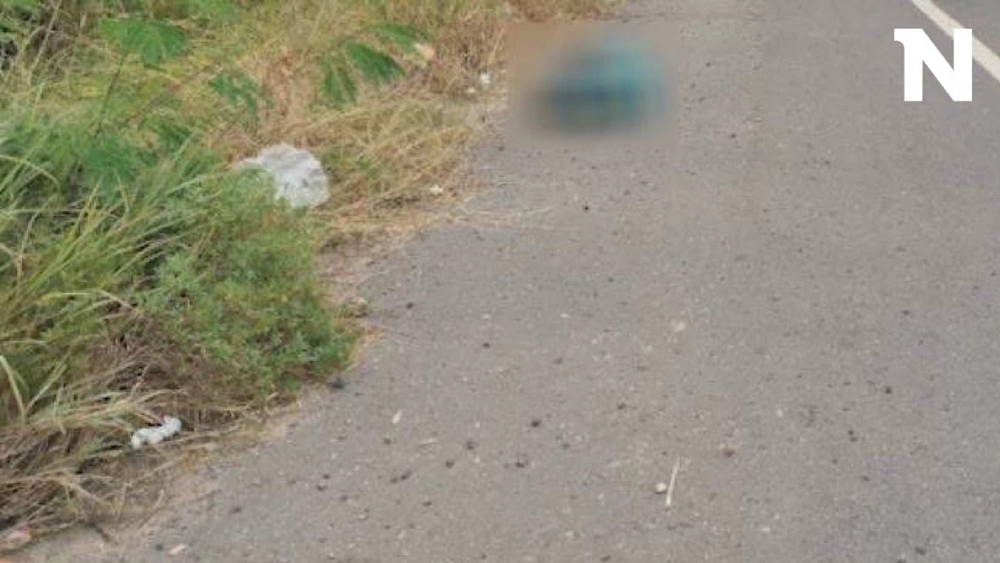 ผงะ! พบกระเป๋าปริศนาส่งกลิ่นเหม็นคลุ้ง ถูกทิ้งข้างทาง แจ้งกู้ภัยตรวจสอบ