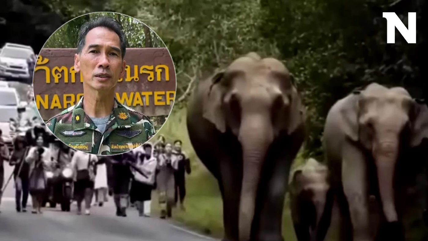 หัวหน้า อช.เขาใหญ่ สั่งเข้ม! ห้ามนักท่องเที่ยววิ่งไล่ถ่ายภาพช้างป่า