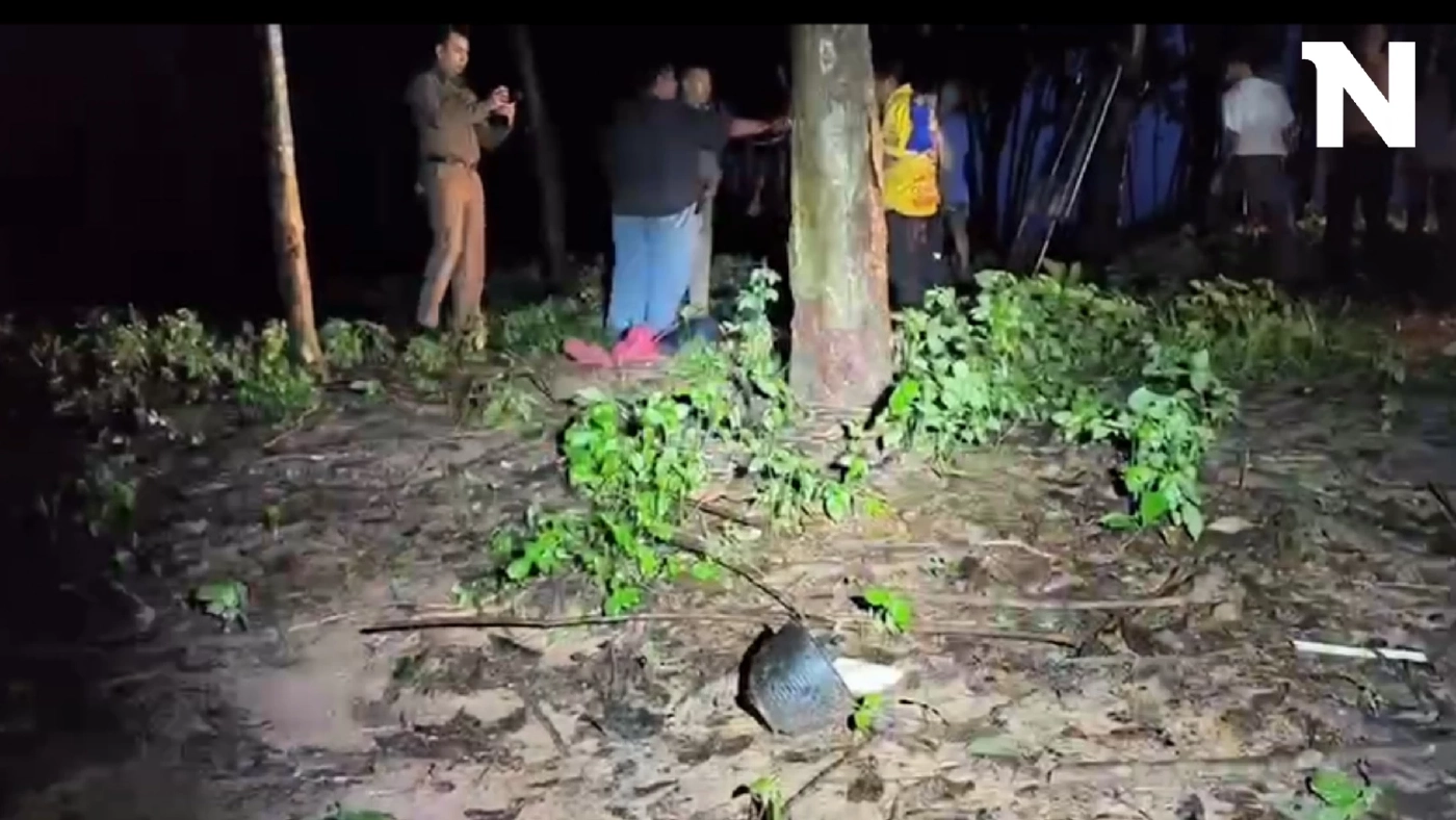 สลด! ช้างป่าทำร้ายสาวใหญ่ ขณะออกไปกรีดยางจนเสียชีวิต