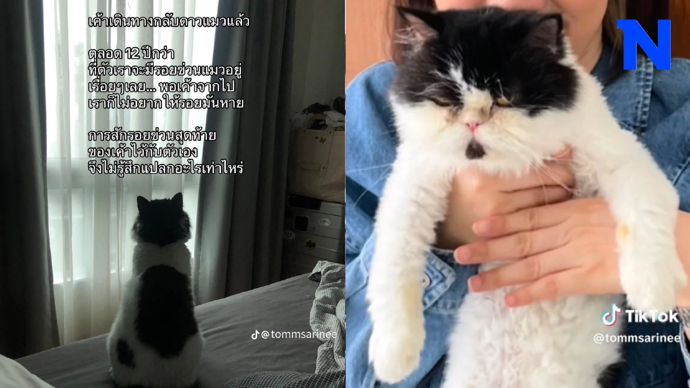 สาวรีวิวรอยสักแรกในชีวิต หลังโซเชียลทราบความหมาย น้ำตาซึมไปทั้งฟีด