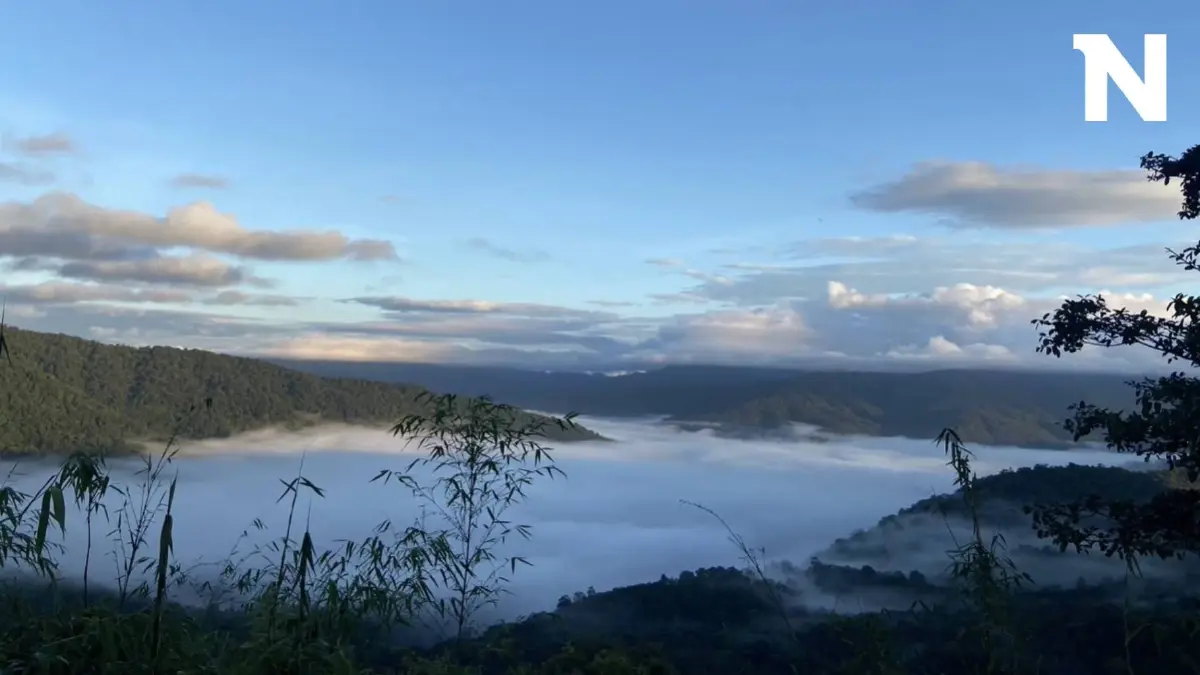 นทท.ขึ้นพิชิต "ภูสวนทราย" ชมทะเลหมอกยามเช้า สัมผัสอากาศเย็น ช่วงปลายฝนต้นหนาว นทท.ขึ้นพิชิต "ภูสวนทราย" ชมทะเลหมอกยามเช้า สัมผัสอากาศเย็น ช่วงปลายฝนต้นหนาว