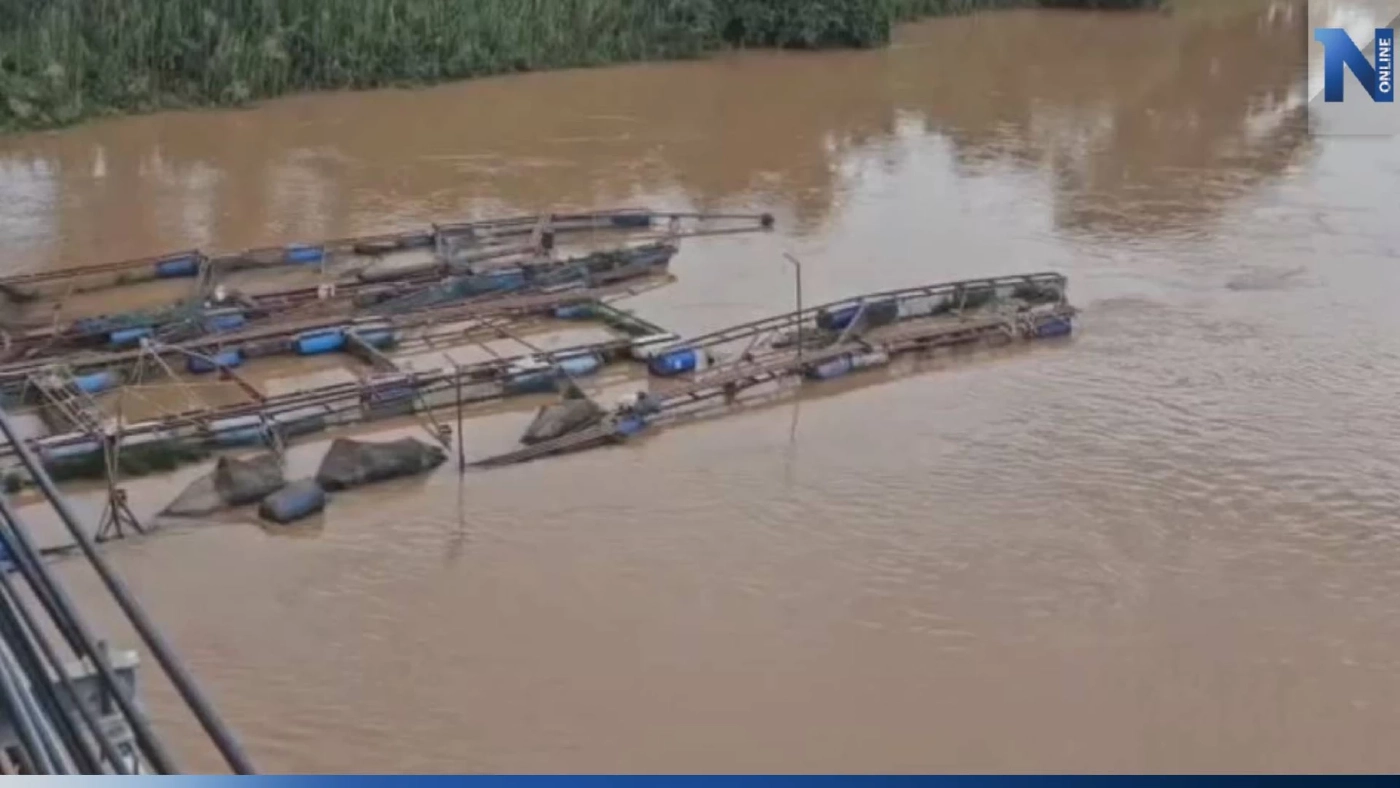 "น้ำน่าน" ไหลเชี่ยว พัดกระชังปลาหลุด ไหลตามน้ำ เสียหายนับล้าน