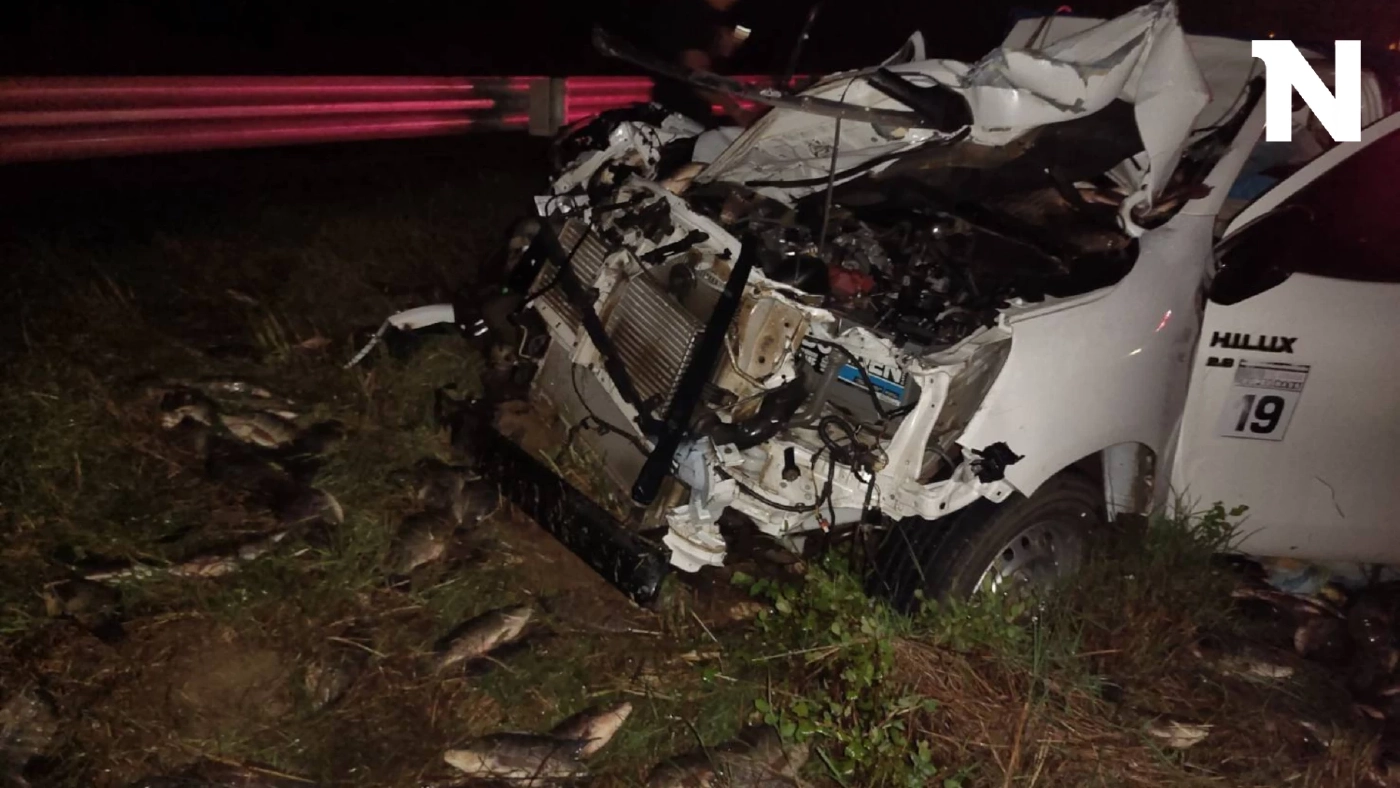 กระบะขนปลานิล ขับฝ่าความมืดพุ่งชนช้างป่า คนเจ็บ 3 ช้างเจ็บ-เตลิดหนี