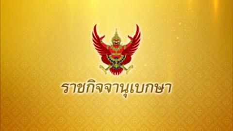 "กรมปศุสัตว์" ประกาศมาตรการ ควบคุมเคลื่อนย้าย ม้า ลา ล่อ หลังไทยปลอดกาฬโรคแอฟริกา "กรมปศุสัตว์" ประกาศมาตรการ ควบคุมเคลื่อนย้าย ม้า ลา ล่อ หลังไทยปลอดกาฬโรคแอฟริกา