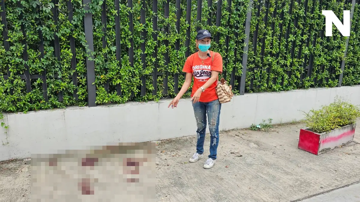 วอน ตร.รวบอันธพาลหมู่ แทงสามี ดับคาซอยเทิดราชัน(มีคลิป)