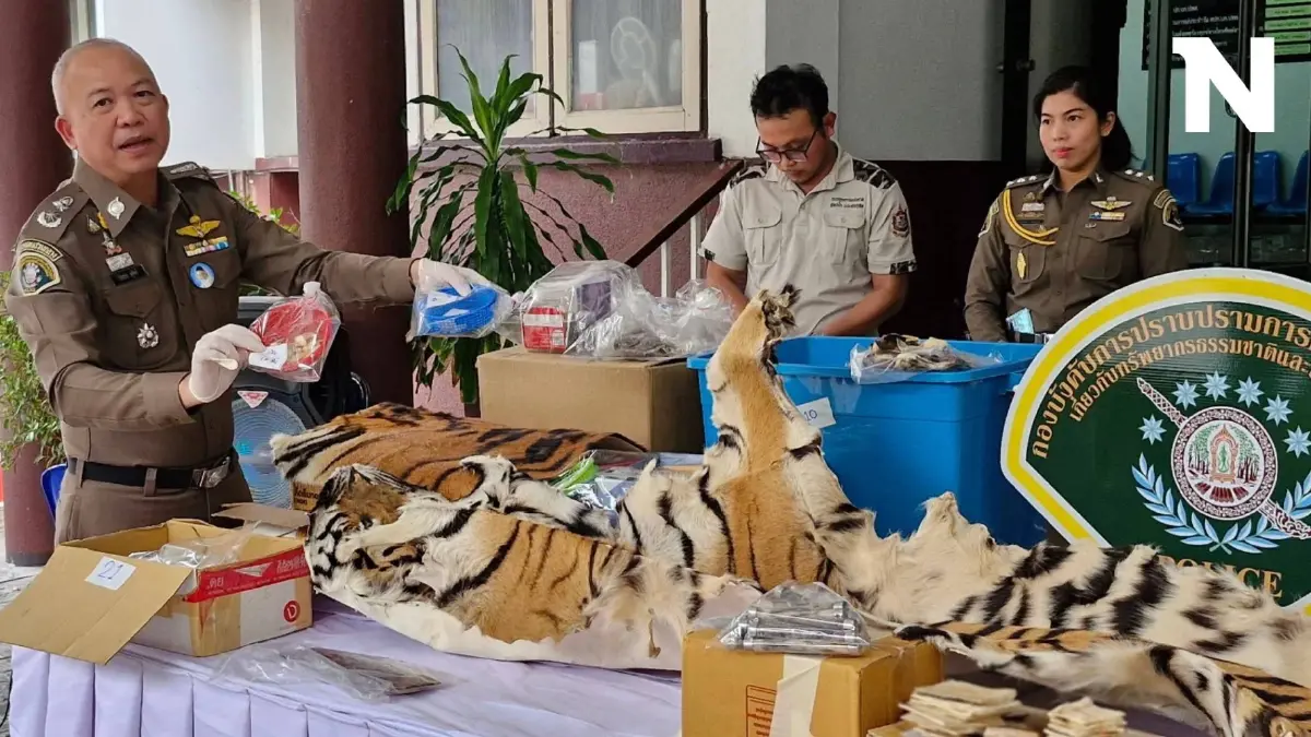 ตำรวจ ปทส. ลุยทลายแหล่งค้าซากเสือ ผ่านเฟซฯ ยึดของกลางเพียบ เร่งขยายผลต่อ
