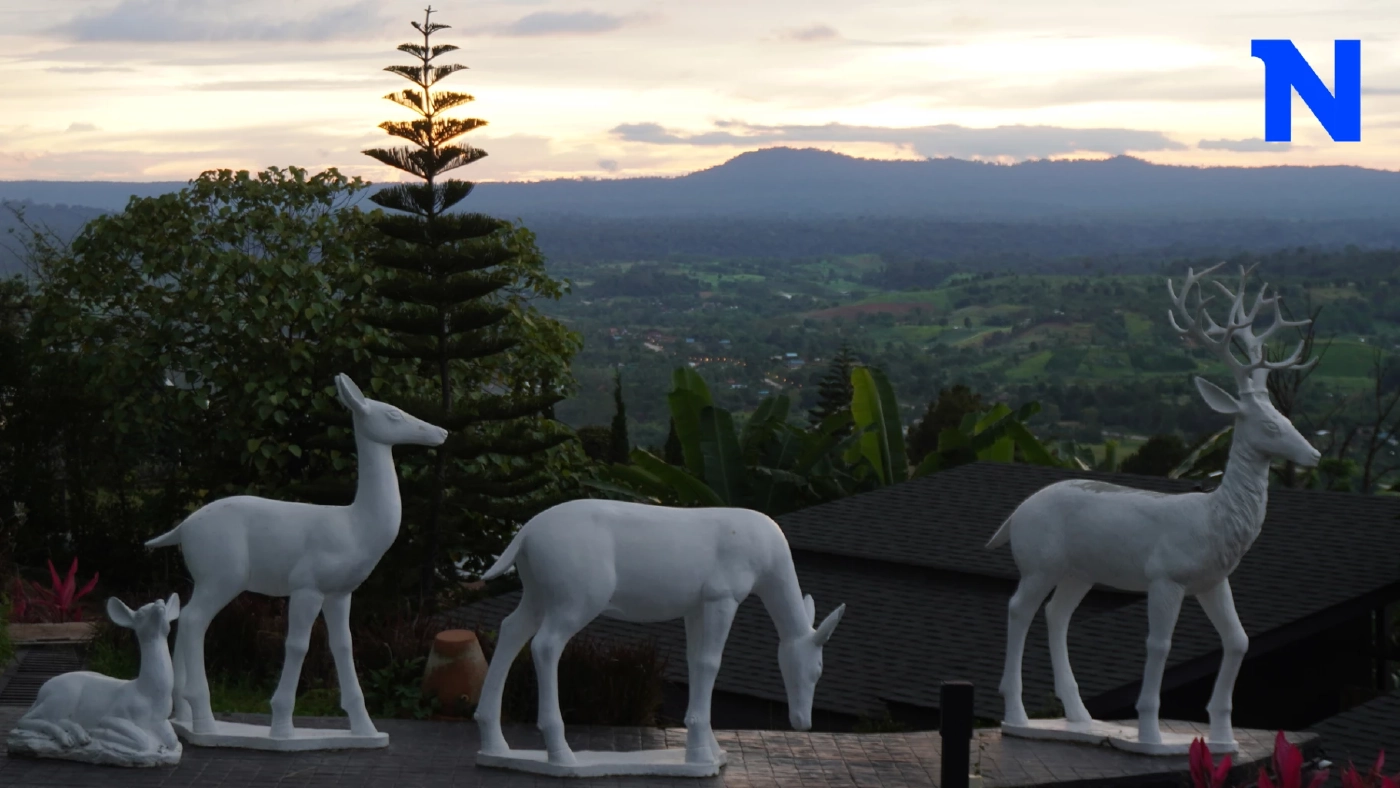 โอบกอดธรรมชาติที่ "เขาค้อ" ดินแดนทะเลหมอก 360 องศา