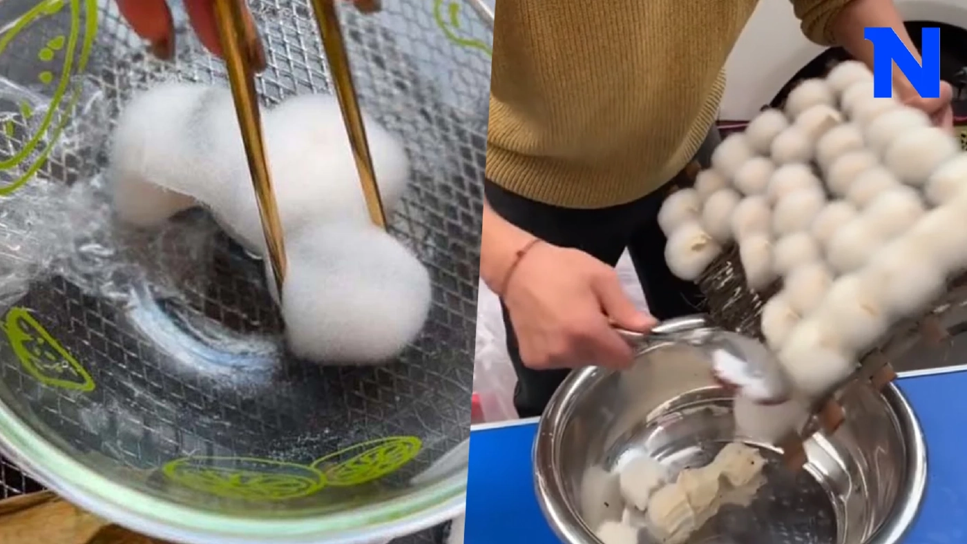 ไขความจริง "เต้าหู้ขน" จากเชื้อราเทมเป้ มีประโยชน์ หรือ อันตราย มากแค่ไหน??