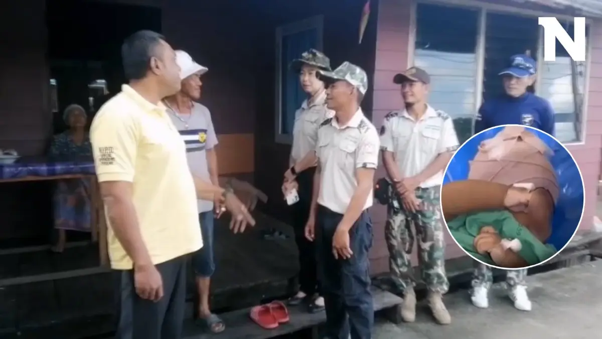 ผู้ว่าฯ พังงา ส่งทีมดูแลเด็กถูกลิงกัด เร่งแก้ปัญหาฝูงลิงแสมบนเกาะไม้ไผ่