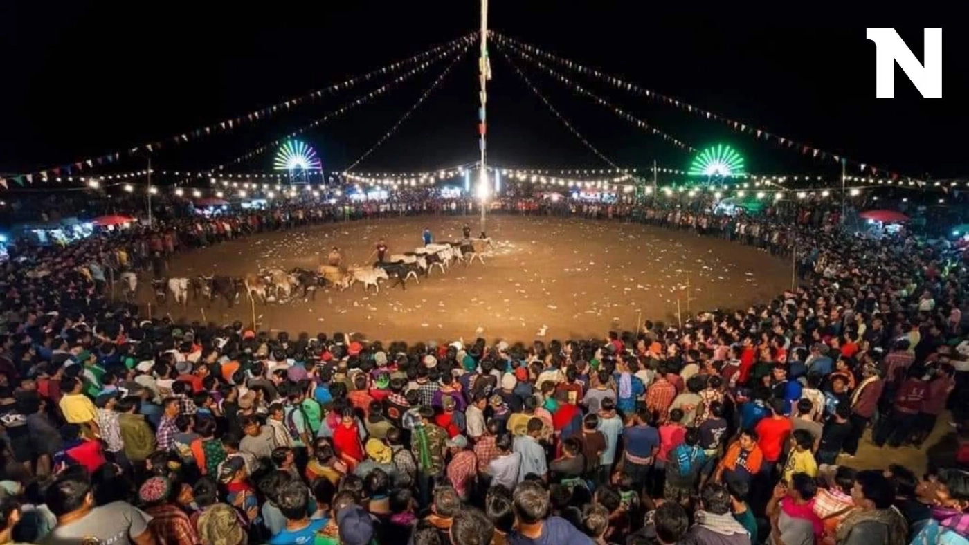 เปิดวิธีการเล่น 'วัวลาน' วางเดิมพัน 'วัวรอง-วัวนอก' ตัวไหนฝีเท้าดีผู้ชนะ