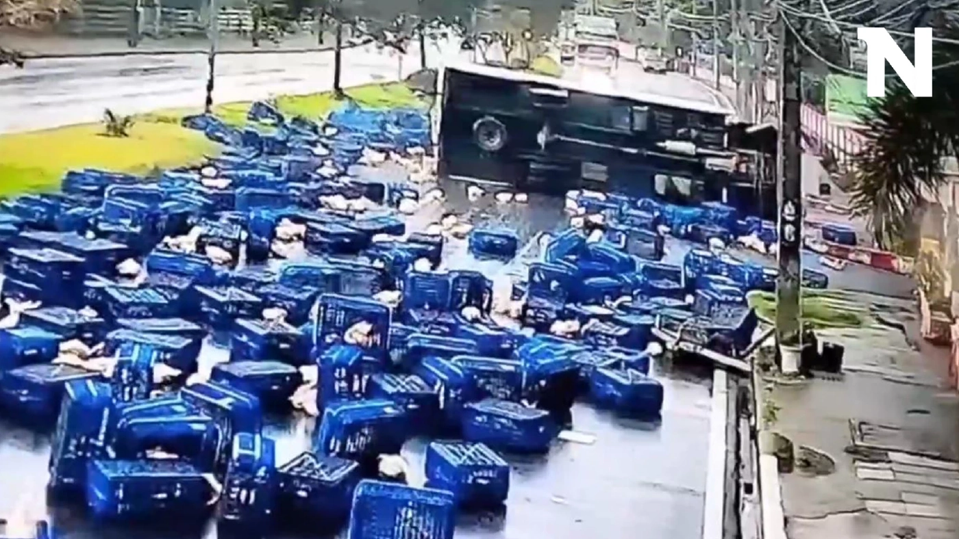 เปิดคลิปรถบรรทุกพลิกคว่ำ เทกระจาดลังไก่เกลื่อนถนน เปิดคลิปรถบรรทุกพลิกคว่ำ เทกระจาดลังไก่เกลื่อนถนน