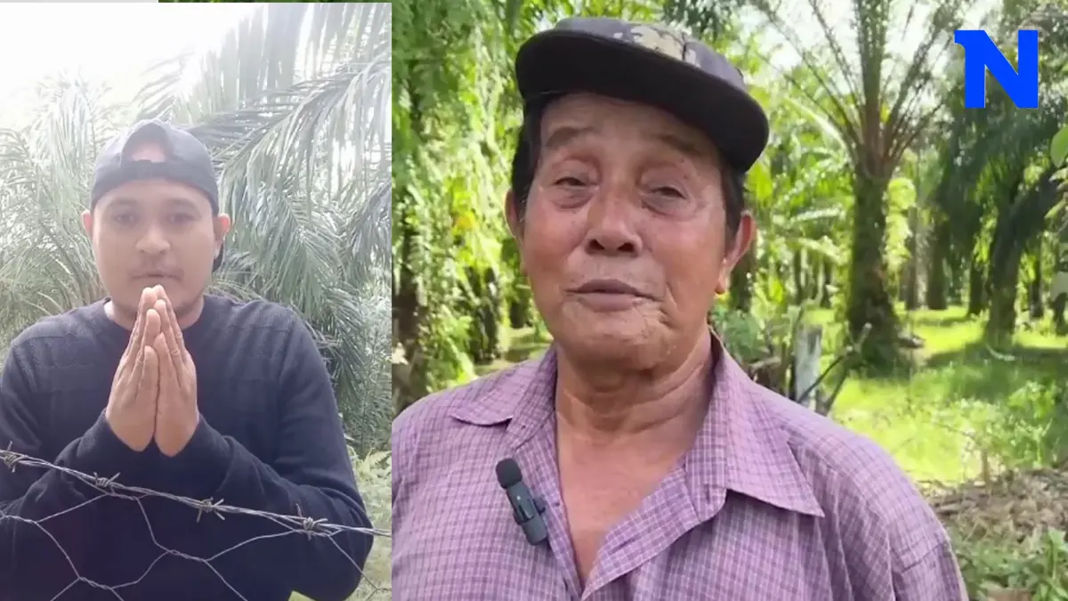 ลุงชาวสวนปาล์มสตูลเผย ต้นปาล์มในคลิปเสี่ยแป้ง ไม่ใช่ที่สตูล เชื่ออยู่ไทย ลุงชาวสวนปาล์มสตูลเผย ต้นปาล์มในคลิปเสี่ยแป้ง ไม่ใช่ที่สตูล เชื่ออยู่ไทย