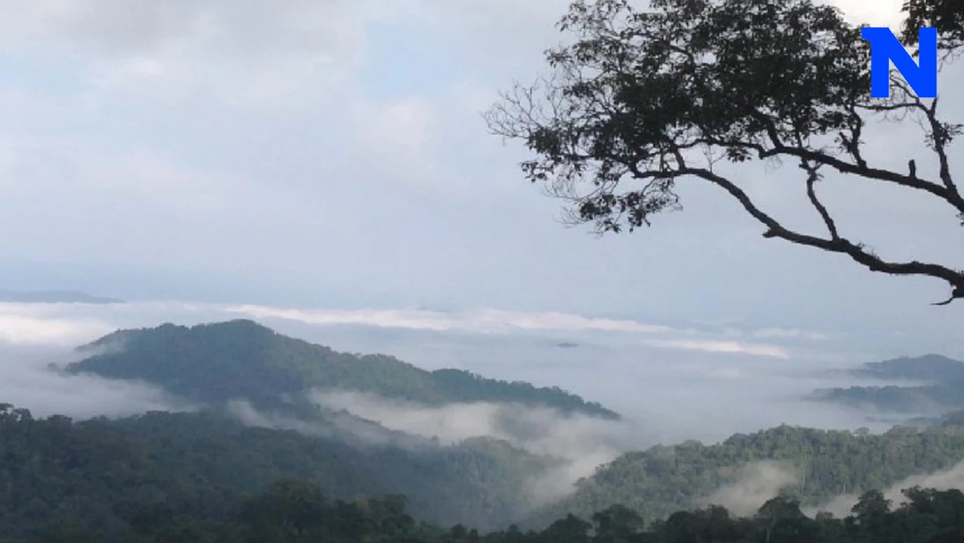 พยากรณ์อากาศวันนี้ กรมอุตุฯ ชี้ "อากาศหนาว" และมีลมแรง อุณหภูมิลดลง 1-3 องศา