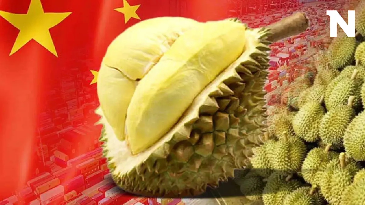 พาณิชย์จับตาเวียดนามเขย่าบัลลังก์ 'ทุเรียน' ไทย