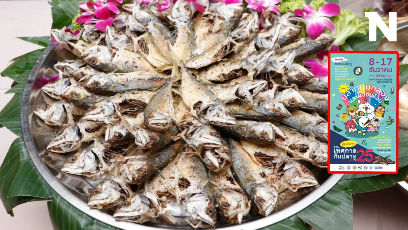 เริ่มแล้ว "เทศกาลกินปลาทูและของดีเมืองแม่กลอง" ครั้งที่ 25 ประจำปี 2566