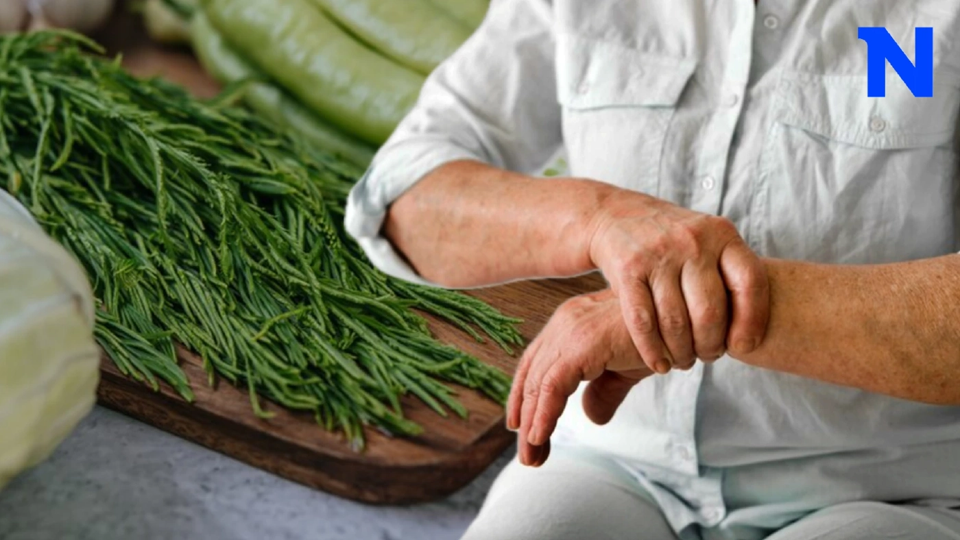 เคล็ดลับสุขภาพ : 6 อาหารกรดยูริกสูง กินมาก-กินบ่อย โรคเกาต์ถามหา เคล็ดลับสุขภาพ : 6 อาหารกรดยูริกสูง กินมาก-กินบ่อย โรคเกาต์ถามหา