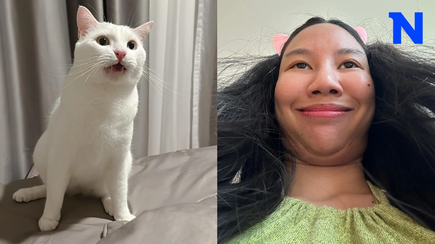 เพจ"ไข่ขาวลูกแมร๊" พร้อมมูฟออนแล้ว สลัดทิ้งปมถูกดรามา "ไม่ช่วยแมวป่วย"