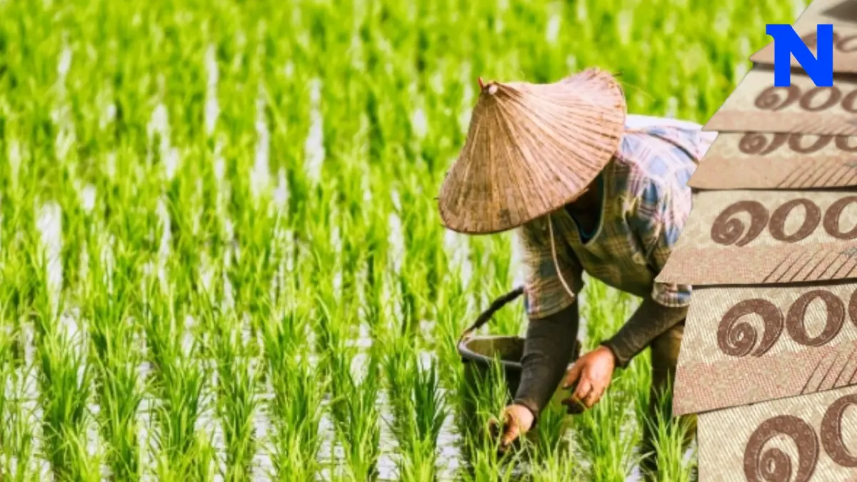 เกษตรกรเช็กเลย ! ธ.ก.ส. โอนเงินค่าบริหารจัดการข้าวเพิ่มกว่า 6,100 ล้านบาท เกษตรกรเช็กเลย ! ธ.ก.ส. โอนเงินค่าบริหารจัดการข้าวเพิ่มกว่า 6,100 ล้านบาท