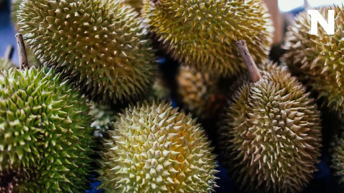เวียดนามส่งออกทุเรียนไปจีน ชูคุณภาพคุ้มราคา