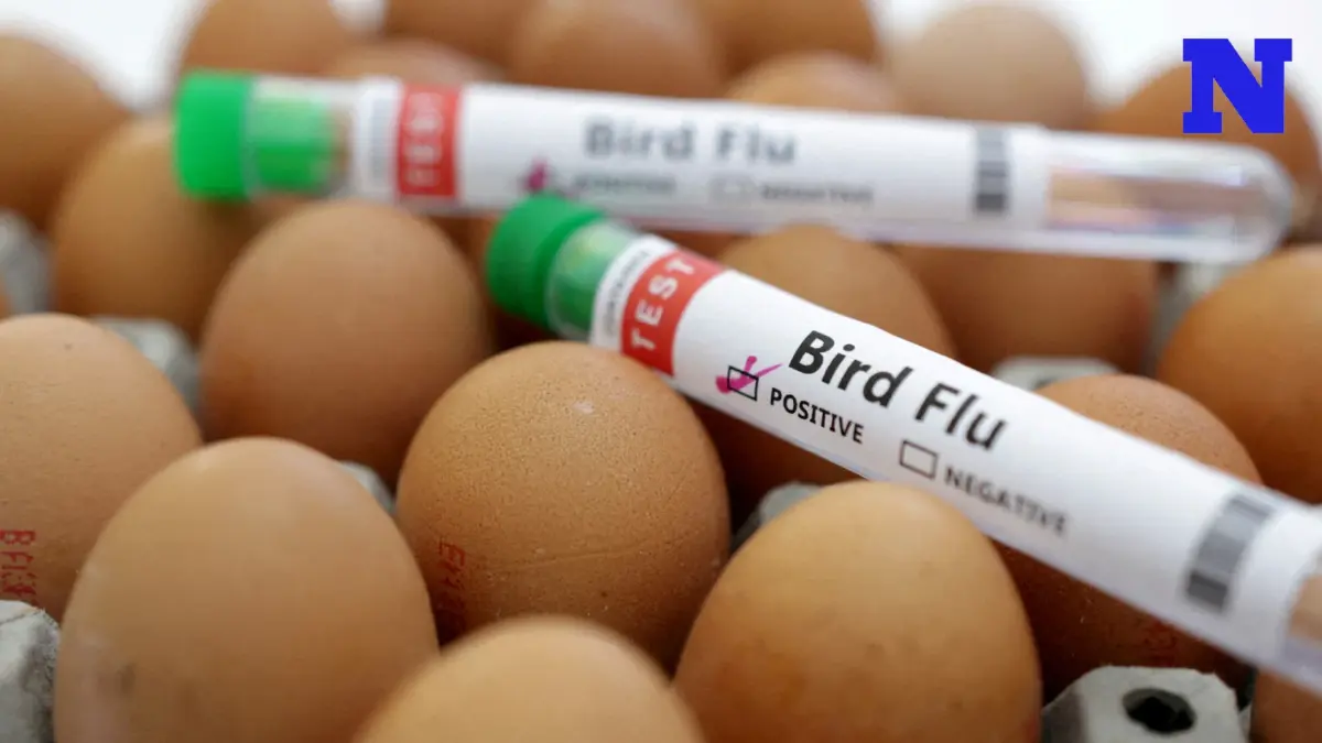 พบผู้ป่วยไข้หวัดนก H5N1 รายแรกในกัมพูชา พบผู้ป่วยไข้หวัดนก H5N1 รายแรกในกัมพูชา