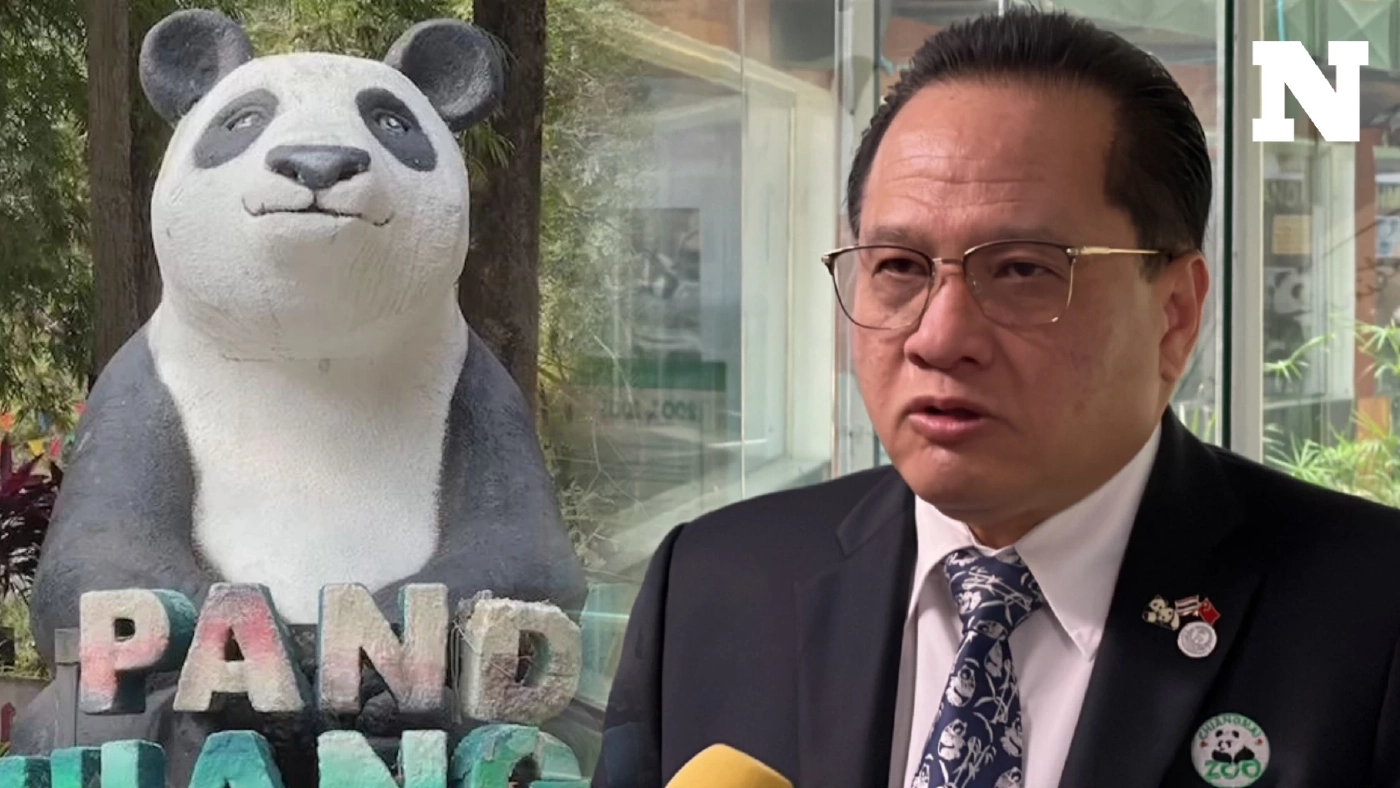 สวนสัตว์เชียงใหม่ พร้อมดูแล "หมีแพนด้า" ตัวใหม่ การันตีประสบการณ์ 20 ปี